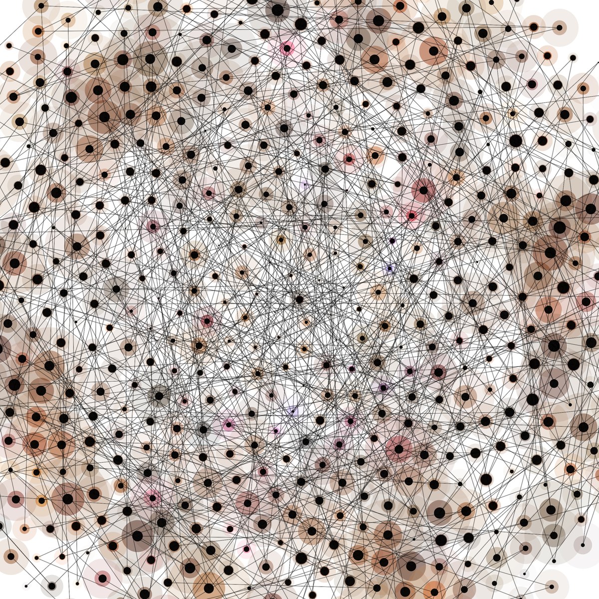 Détail du spécimen Babouin : réseau de points noirs, de lignes et de champs colorés